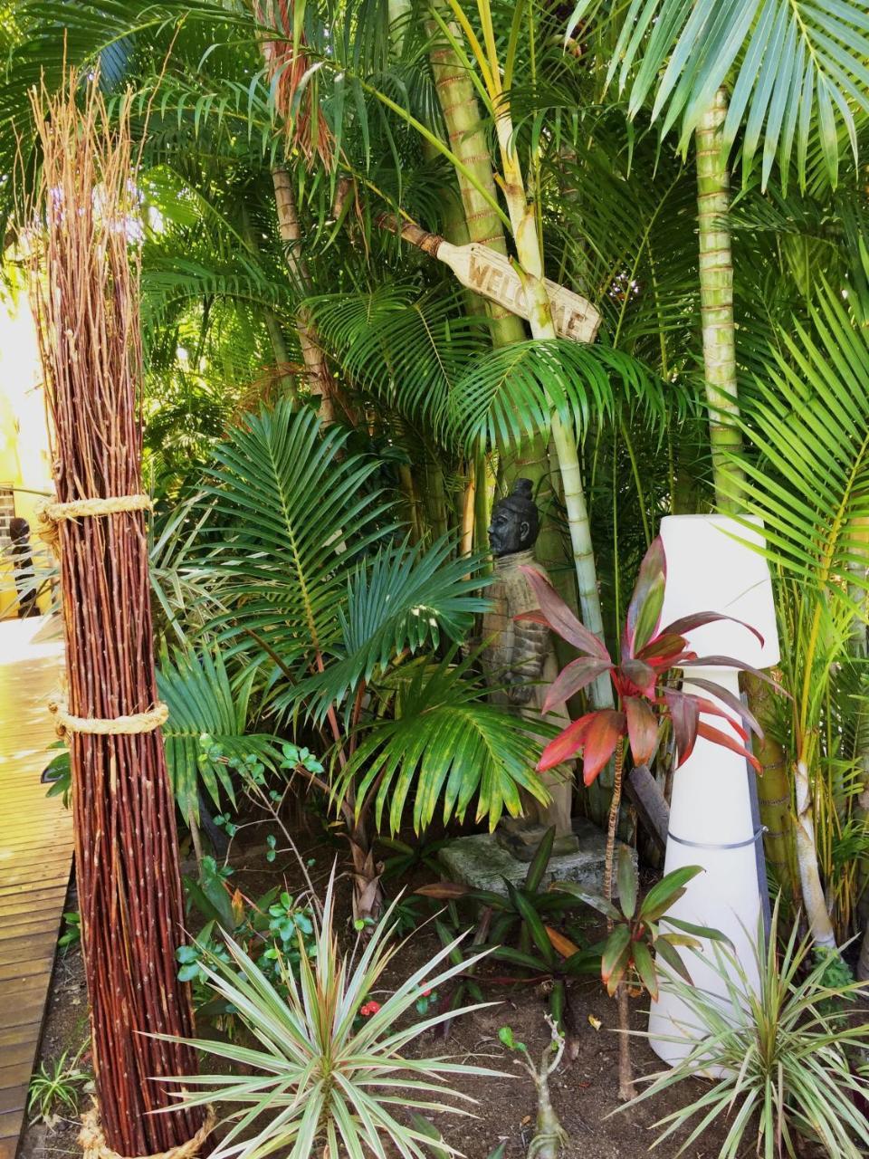 Hotel Les Bougainvilliers Saint-Gilles-les-Bains Buitenkant foto